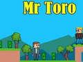 Cluiche Mr Toro