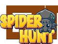 Cluiche Spider Hunt