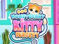 Cluiche Doc HoneyBerry Kitty Surgery