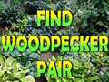 Cluiche Find Woodpecker Pair 