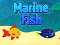 Cluiche Marine Fish