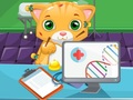 Cluiche Cat Doctor