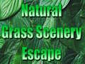 Cluiche Natural Grass Scenery Escape