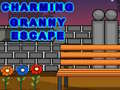 Cluiche Charming Granny Escape
