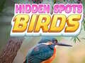 Cluiche Hidden Spots Birds