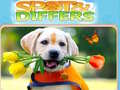 Cluiche Spot&Differs