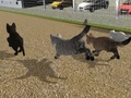 Cluiche Run Cat Cat Race
