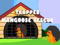 Cluiche Trapped Mangoose Rescue