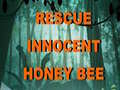 Cluiche Rescue Innocent Honey Bee 