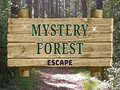 Cluiche Mystery Forest