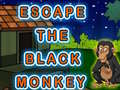 Cluiche Escape The Black Monkey