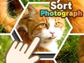 Cluiche Sort Photograph