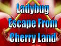 Cluiche Ladybug Escape From Cherry Land