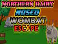Cluiche Northern hairy nosed wombat Escape