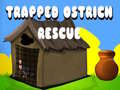 Cluiche Trapped Ostrich Rescue