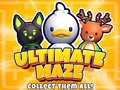 Cluiche Ultimate Maze! Collect Them All!