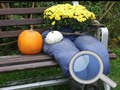 Cluiche Autumn Garden Find 100 butterflies