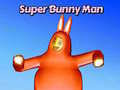Cluiche Super Bunny Man