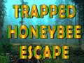 Cluiche Trapped Honeybee Escape