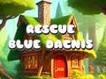 Cluiche Rescue Blue Dacnis