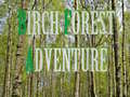 Cluiche Birch Forest Adventure