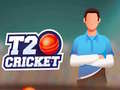 Cluiche T20 Cricket