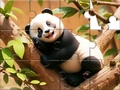Cluiche Jigsaw Puzzle: Panda On Tree