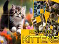 Cluiche Puzzle Sliding Kittens
