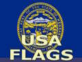 Cluiche Usa Flags 