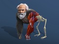 Cluiche Idle Evolution From Cell To Human