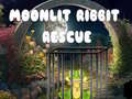 Cluiche Moonlit Ribbit Rescue