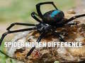 Cluiche Spider Hidden Difference