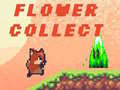 Cluiche Flower Collect