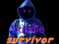 Cluiche Hoodie Survivor