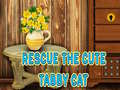 Cluiche Rescue The Cute Tabby Cat