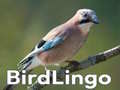 Cluiche BirdLingo