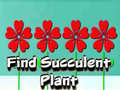 Cluiche Find Succulent Plant