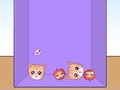 Cluiche Evolution of Cat Memes