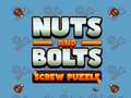 Cluiche Nuts and Bolts Screw Puzzle