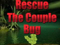 Cluiche Rescue The Couple Bug