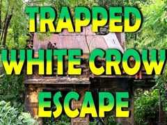 Cluiche Trapped White Crow Escape