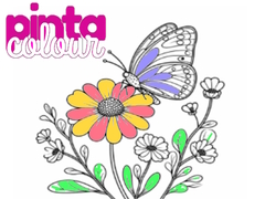 Cluiche Pinta Colour