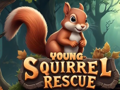 Cluiche Young Squirrel Rescue