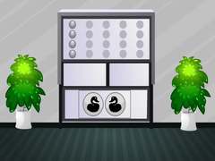 Cluiche White House Escape