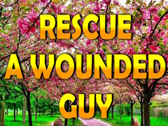 Cluiche Rescue A Wounded Guy