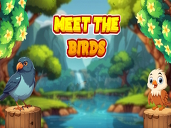 Cluiche Meet The Birds 