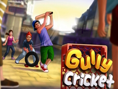 Cluiche Gully Cricket