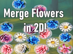 Cluiche Merge Flowers in 2D!