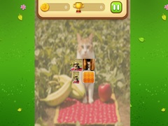 Cluiche Farm Cat Memory Match