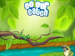 Cluiche Colour Catch